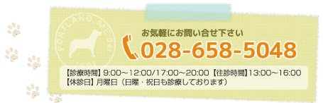 お気軽にお問い合せ下さいTEL.028-658-5048